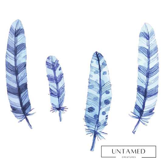 Blue Real Feather Bird Plumes Wall Decor
