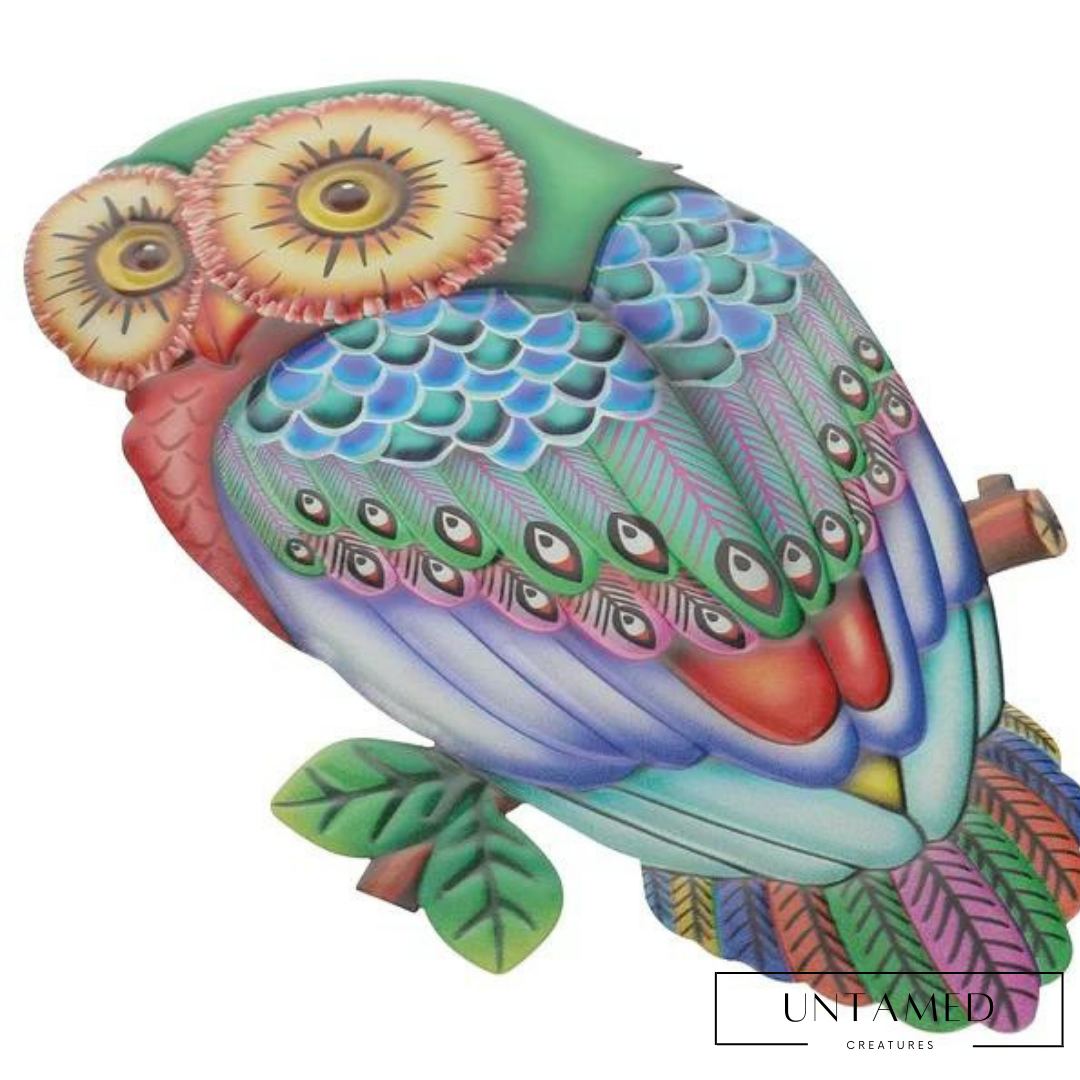 Colorful Iron Owl Wall Decor with Artsy Design Wall Decor