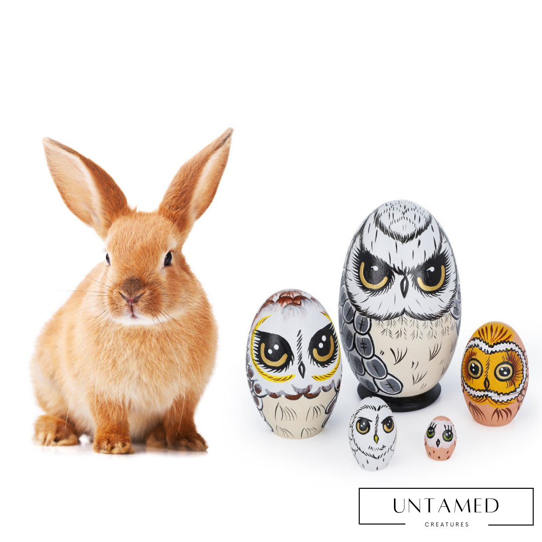 Owl Nesting Toys Gifts Set