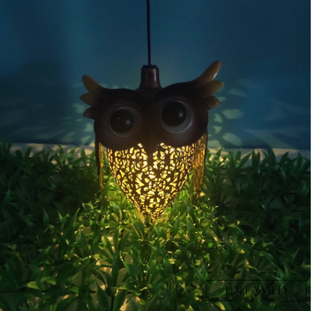 Hanging Owl Lamp