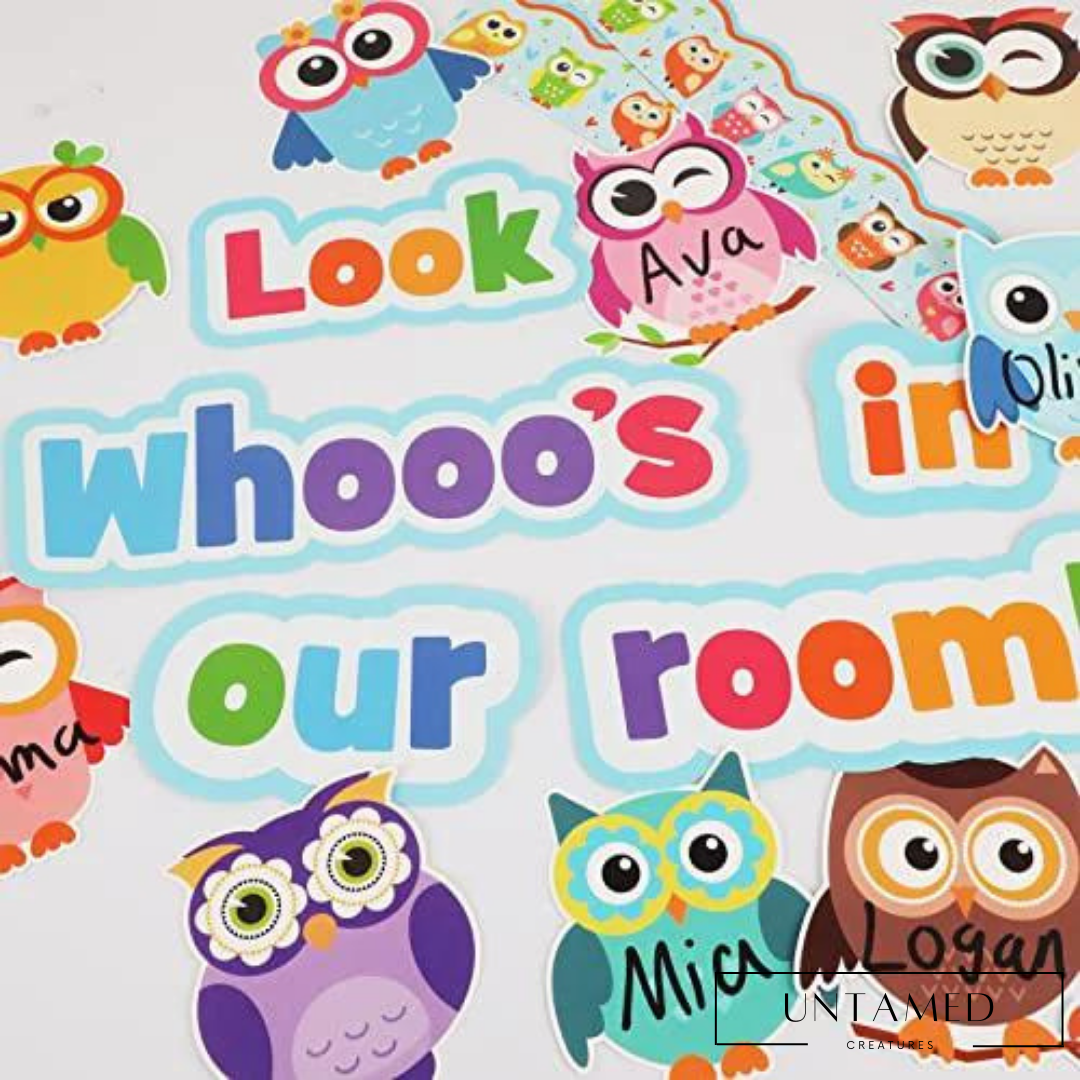 Colorful Owls Bulletin Board Decoration