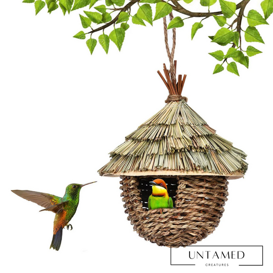 Hanging Birds House Hummingbird