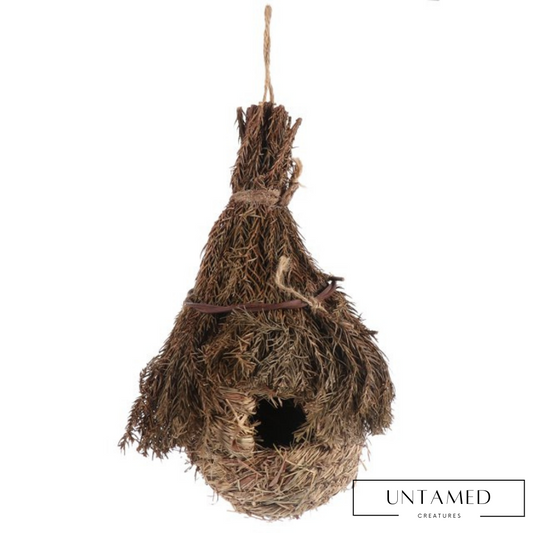 Bird Nest Decor
