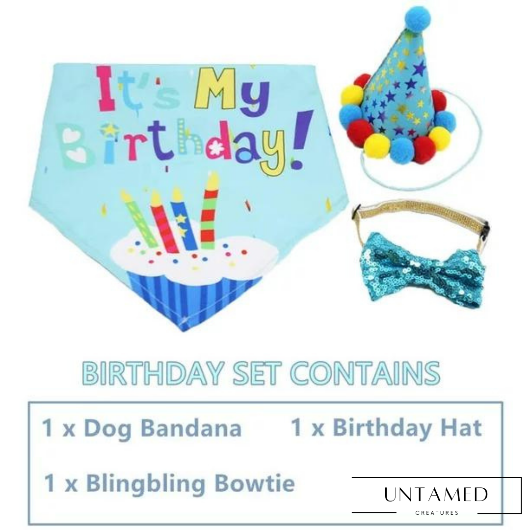 Dog Birthday Party Supplies