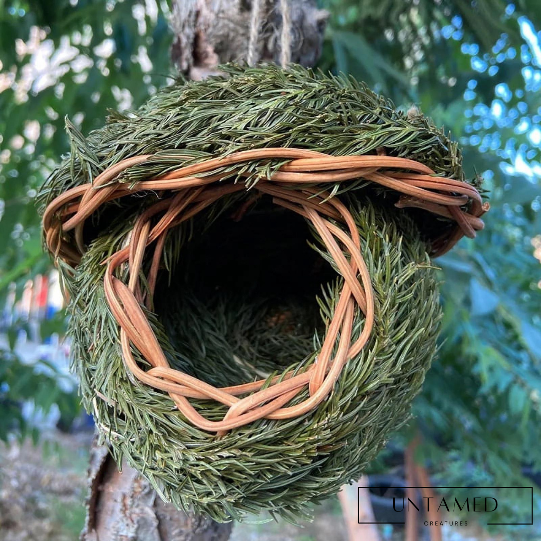 Handmade Bird Hut