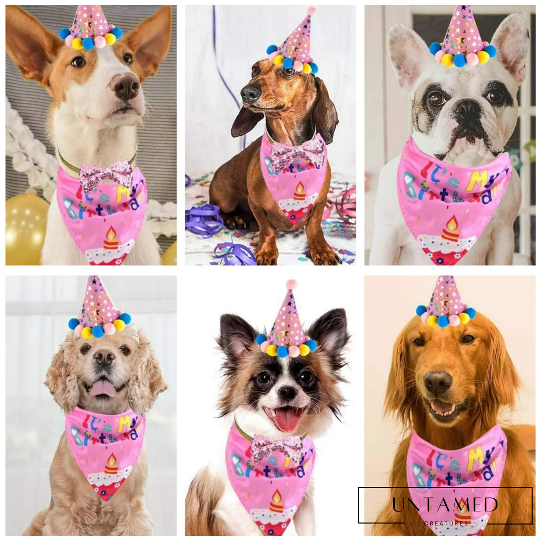 Dog Puppy Birthday Party Supplies
