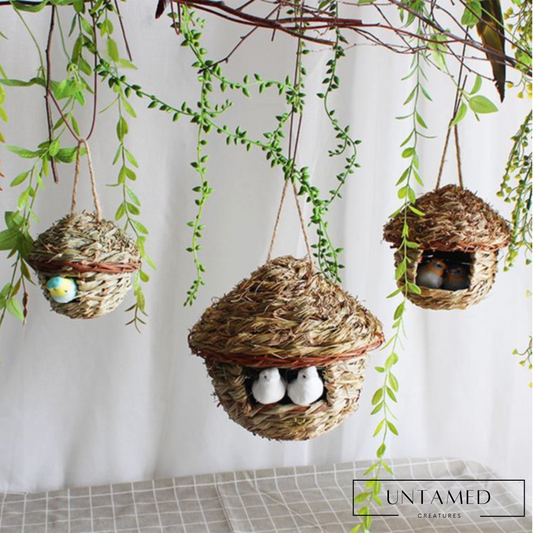 Natural Grass Hanging Bird Nest