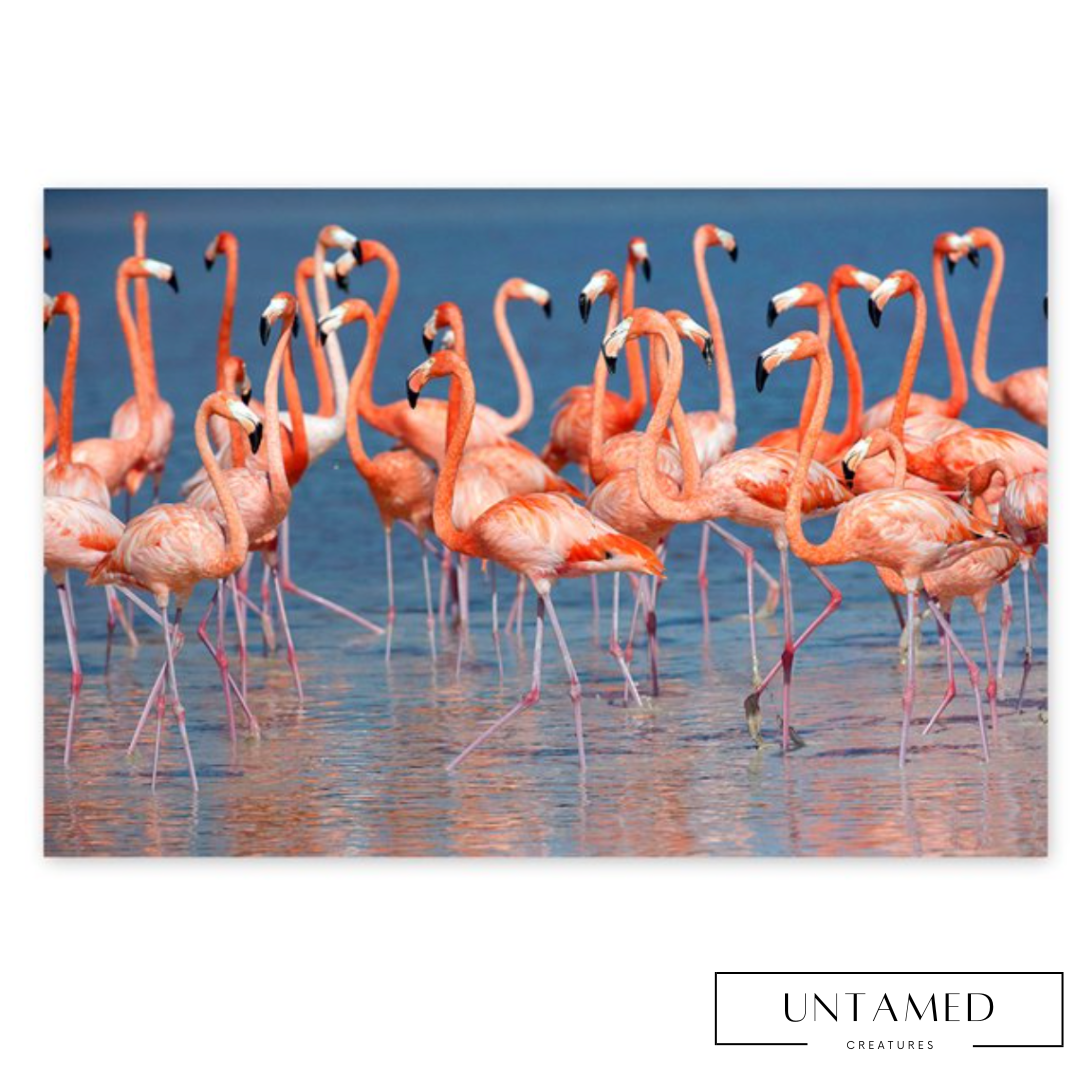 Beautiful Flamingo Canvas