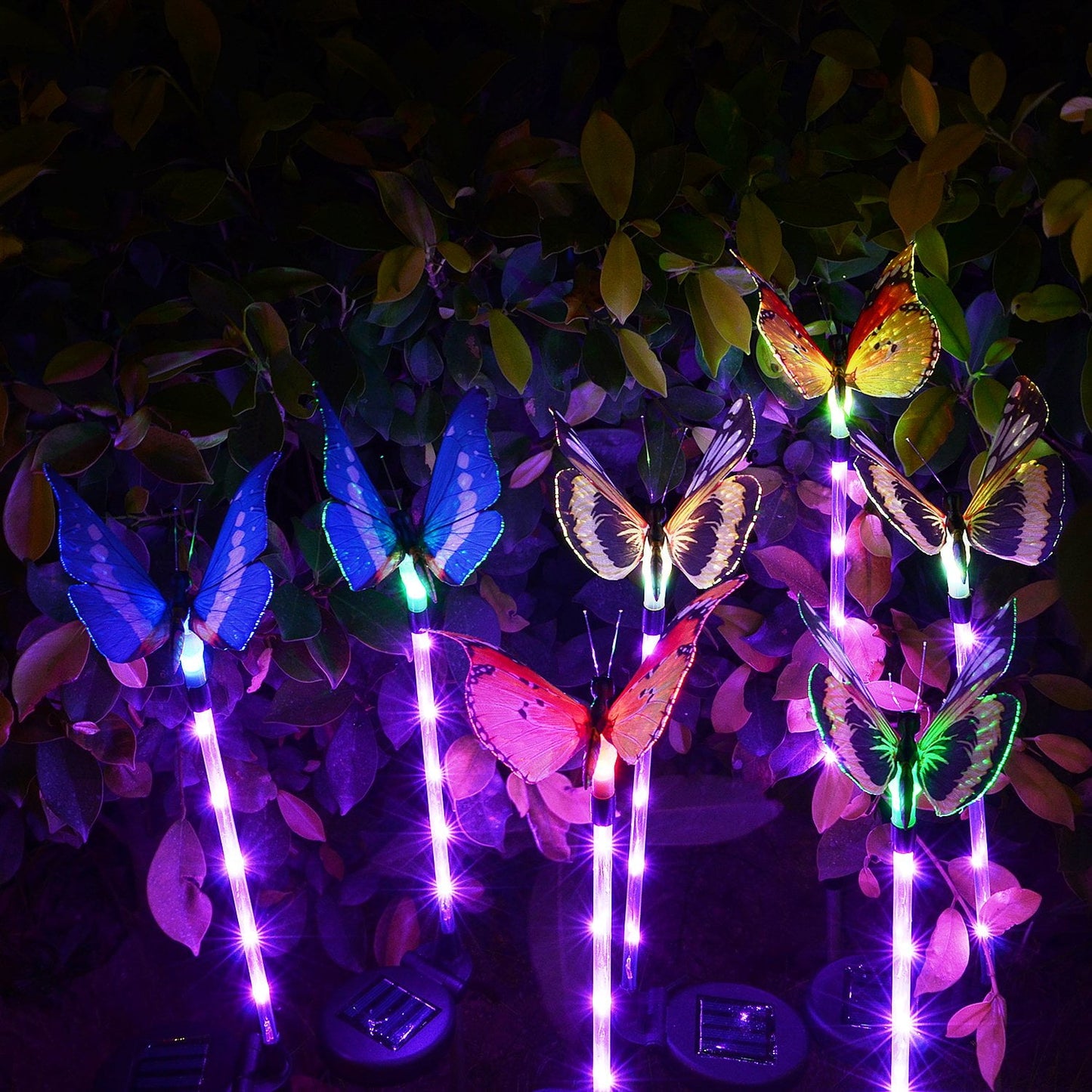 Butterfly Bliss Solar Garden Lights