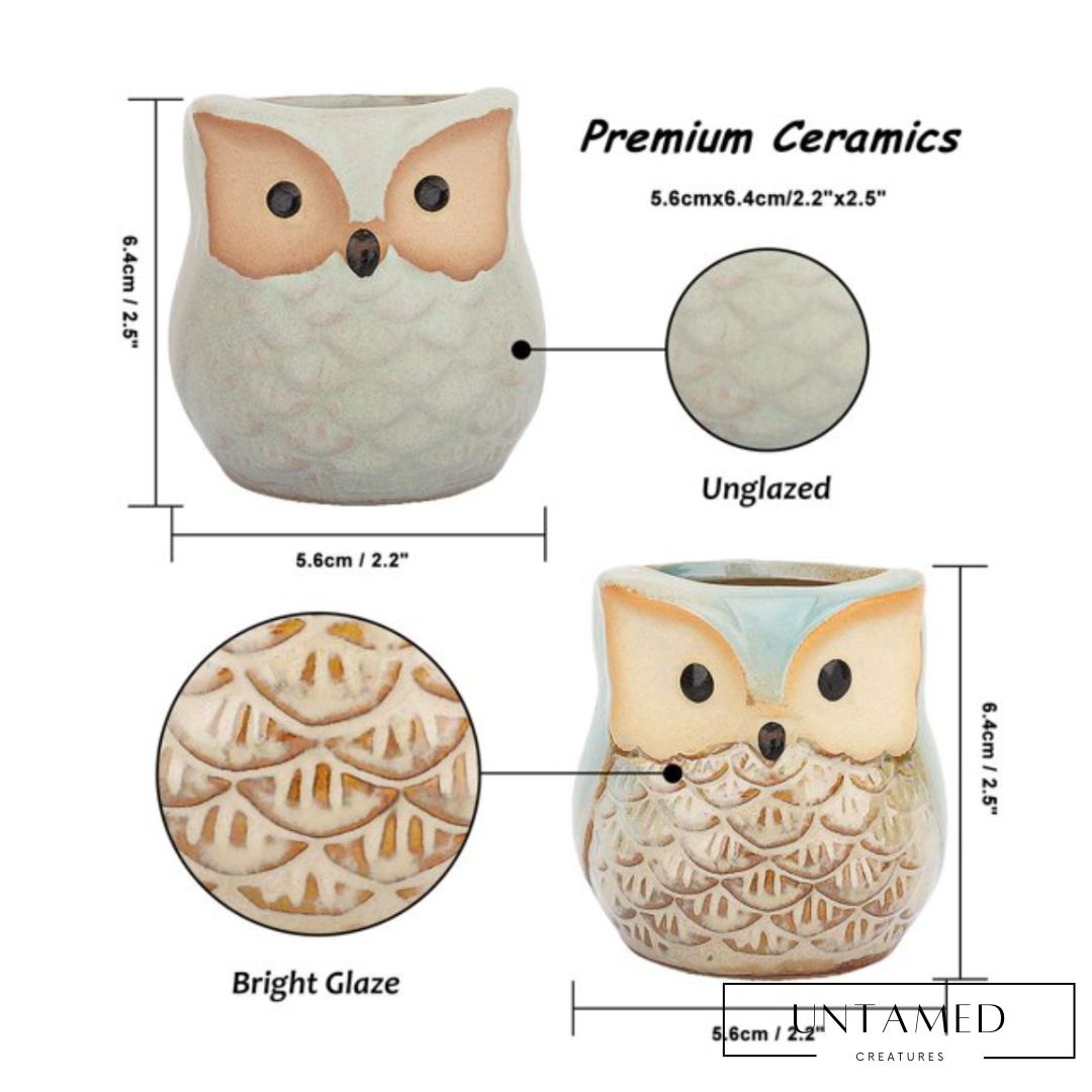 6 Piece Ceramic Owl Flower Pot