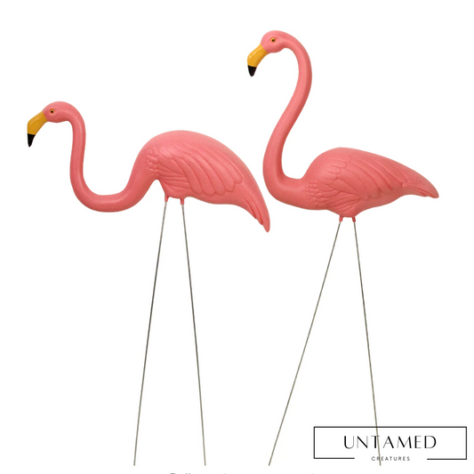 Set of 2 Tropical Pink Flamingo Yard Decor