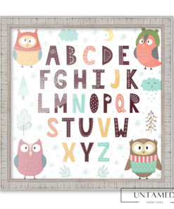Owl Classroom Decor