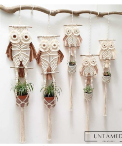 Owl Wall Decor